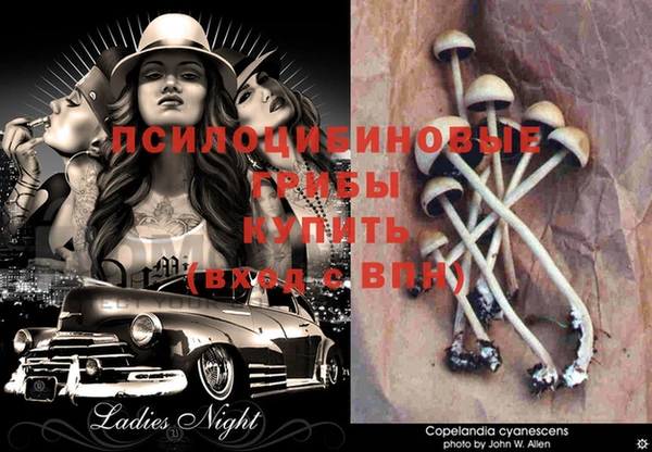 mdpv Рославль