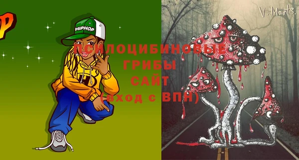 гидра Сатка