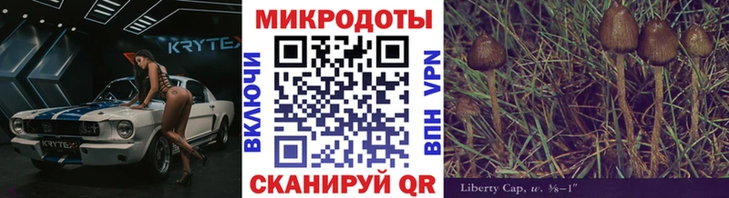 Купить закладки  Липецк  Псилоцибиновые грибы Magic Shrooms 